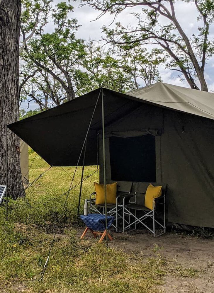 Green tents set up on grass in vacation campground next to tree on Masai Mara budget camping safaris in Kenya