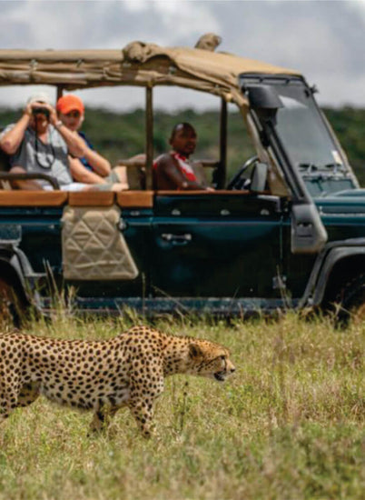 a green 4x4 jeep carrying two tourists and a guide driving near a male cheetah in Masai Mara on group joining budget safari jeep tours