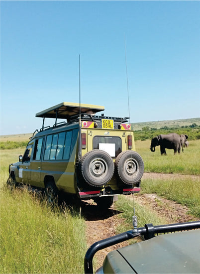 a green 4x4 jeep carrying group of travelers on dirt road running near elephants in Masai Mara on guided Kenya jeep safaris to Masai Mara