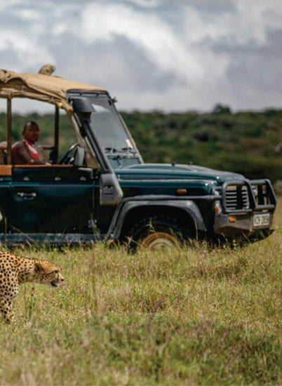 a Maasai guide driving a green 4x4 jeep near a male cheetah in Masai Mara on 3 day budget safari jeep tours in Kenya