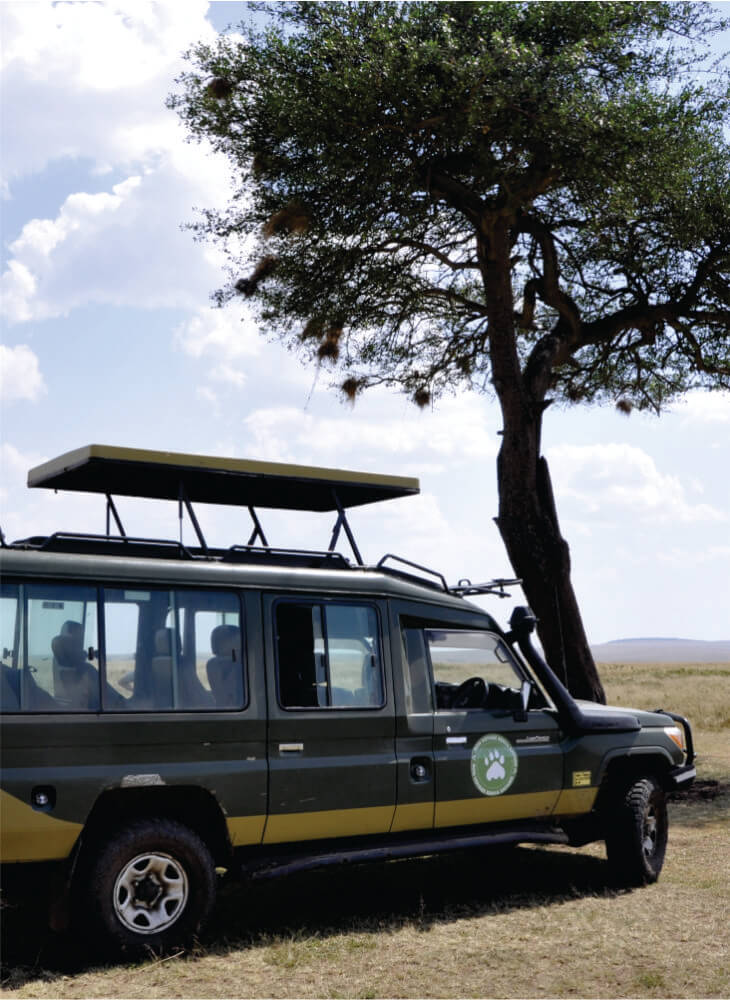 green 4x4 jeep with pop up top parked near tree in Masai Mara during Masai Mara joining jeep safari tours