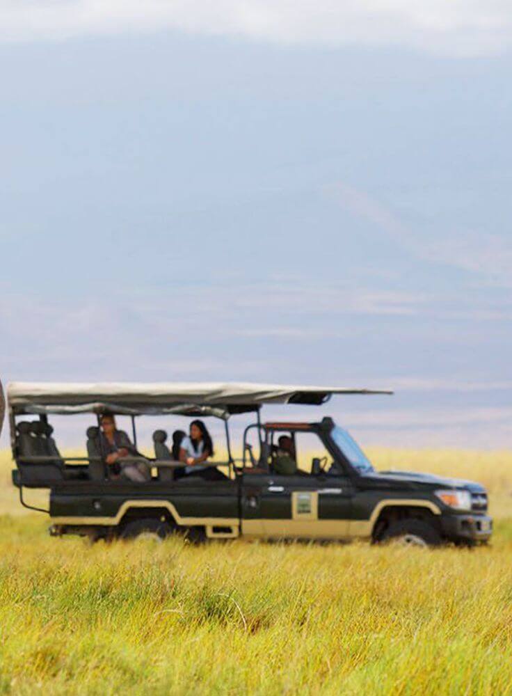 green jeep on green grass field during daytime in Masai Mara in the daytime during a 10-day Kenya Tanzania safari