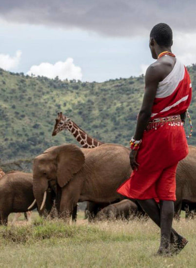 A Maasai man in red cloth standing and watching a herd of elephants and giraffes in Masai Mara on 3-day wildlife safari tour package in Kenya